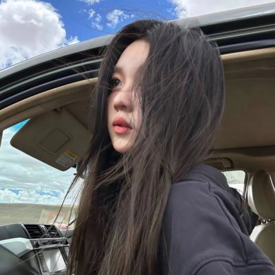 陆昭昭的刺客笔记