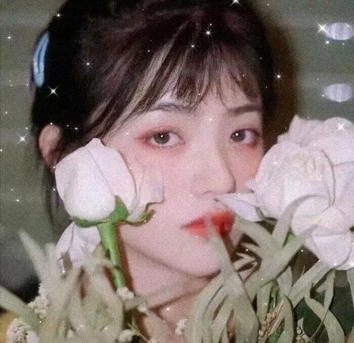 情深深雨濛濛